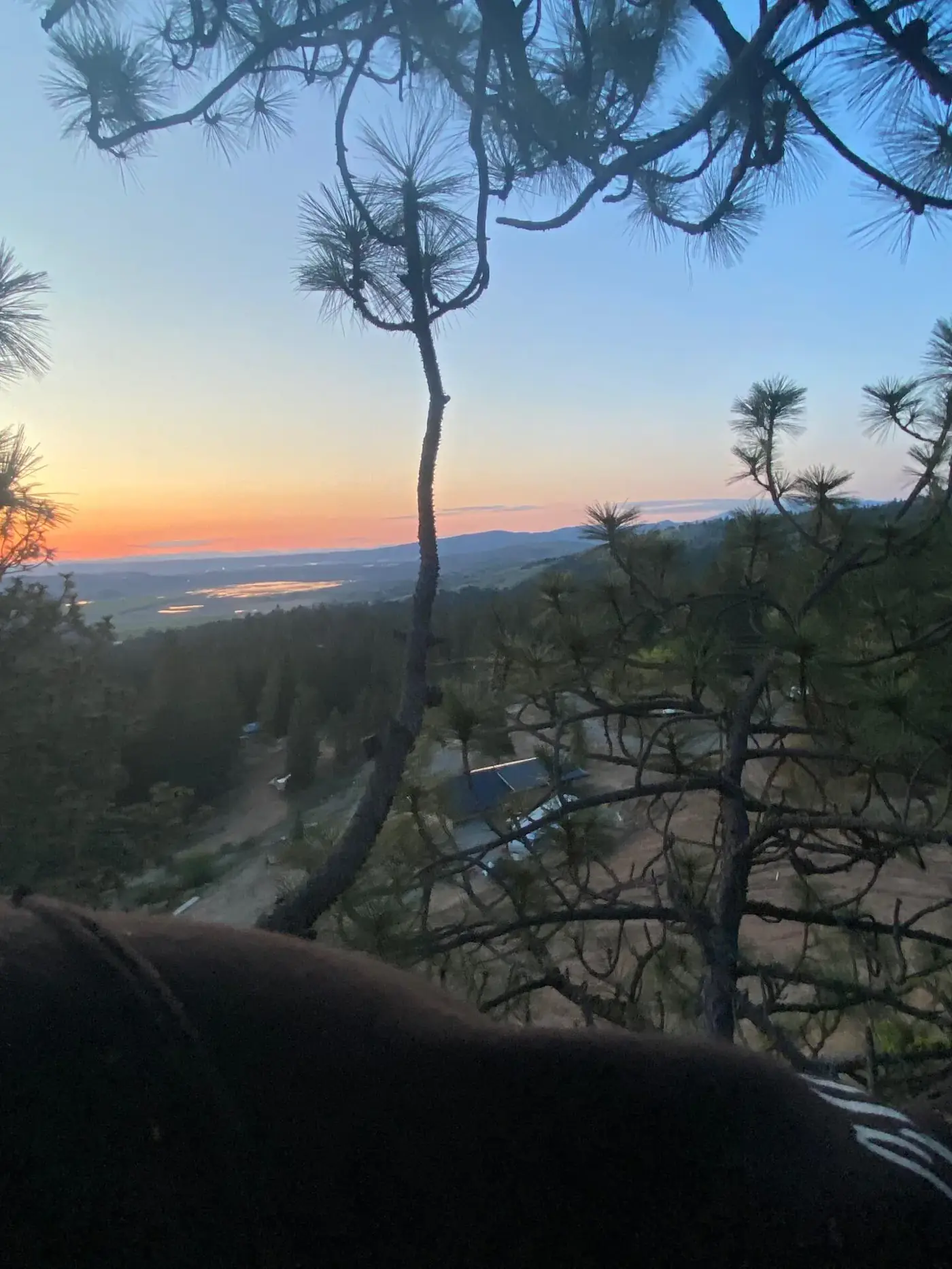 Tree Climber at Sunset — Spokane Valley Tree climber working at sunset on a removal job in Spokane Valley WA